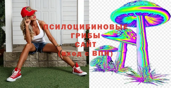 индика Алексин