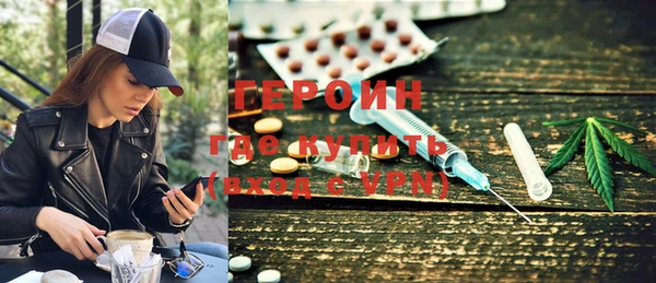 индика Алексин