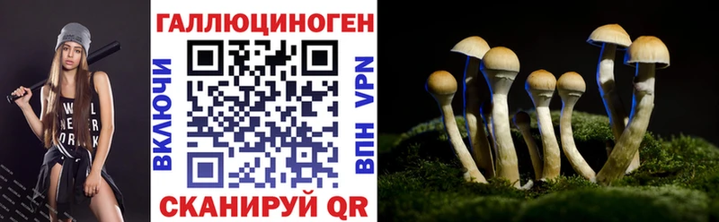 Псилоцибиновые грибы GOLDEN TEACHER  цена   hydra ссылка  Щёлково 