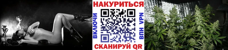 цены   Щёлково  Марихуана OG Kush 